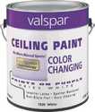 1 Gal Color Changing Latex Ceiling Paint White