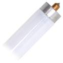 96-Inch 59-Watt Cool White T8 Linear Octron Ecologic Fluorescent Light Bulb