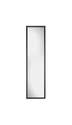 13 x 49-Inch Black Door Mirror