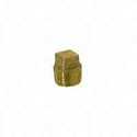 3/4 in. IPT Brass Pipe Plug - Cored Square, 1-Pack