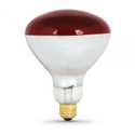 250-Watt Incandescent R40 Heat Lamp
