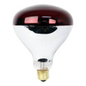 250-Watt R40 E26-Medium Red Dimmable Heat Lamp Incandescent Bulb, 1-Pack