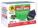 Mouse Bait Station Refillable Indoor/Outdoor