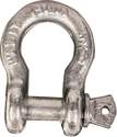 1/4-Inch Anchor Shackle