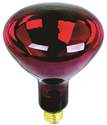 250-Watt Red Heat Incandescent Bulb