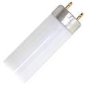 17-Watt 24-Inch Cool White T8 Linear Octron Fluorescent Light Bulb