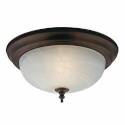 Ceiling Light Fixture, 60 W, CFL Lamp, Oil-Rubbed Bronze