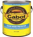 Gallon Clear Wood Protector