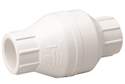3/4-Inch In-Line Check Valve
