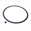 Pressure Canner Sealing Ring