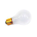 Incandescent Bulb, 12-Volt, Incandescent Lamp, 1-Lamp