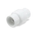 2-Inch FPT 200 PSI PVC Check Valve
