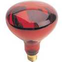 250w R40 Heat Lamp Red