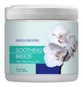 15-Ounce Soothing Breeze Odor Absorbing Gel