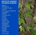 BioAdvanced 704655A 