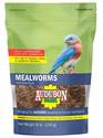 8-Ounce Mealworms Wild Bird Food