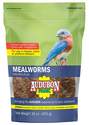 16-Ounce Mealworms Wild Bird Food
