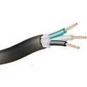Cci 55039308 Seoow Electrical Wire, 10 Awg, Tpe Sheath, Black Sheath, Per Foot