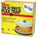 Ultimate Flea Trap 6-Pack
