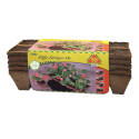 4 X 10-Inch Tray Sphagnum Peat Moss Strip Pot