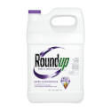 1-Gallon Super Concentrated Weed And Grass Killer