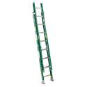 16-Foot Fiberglass Type II Flat D-Rung Extension Ladder, 225-Pound Load Capacity