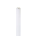 48-Inch T12 Fluorescent Lamp