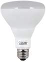 65-Watt LED Non-Dimmable Light Bulb