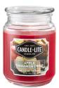 18 Oz Jar Candle Apple Cinnamon Crisp