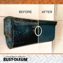 RUST-OLEUM® 7830730 