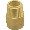 3/4-Inch CPVC Pipe To Tube Adapter