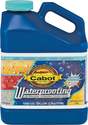 1-Gallon Waterproofing Sealer