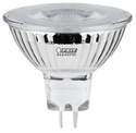 12-Volt Dimmable LED Bulb