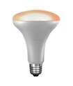 2700k Br30 Dimmable LED Smart Light Bulb
