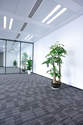 Feit Electric T24/850/LEDG2 