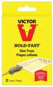 Hold-Fast Disposable Glue Trays, 2-Pack