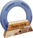 Crazy Circle Cat Toy