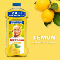 Mr. Clean® 030772112922 