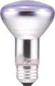 45-Watt R20 Daylight Incandesent Flood Light Bulb