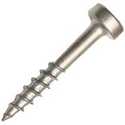 100 Pocket Hole Screw Number No 6 x 1 in