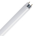 32-Watt T8 G13-Bi Pin Cool White Fluorescent Linear Light Tube, 2-Pack