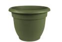 10-Inch Ariana Basil Self-Watering Planter