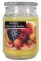 18-Ounce Tropical Fruit Medley Jar Candle
