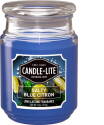 18-Ounce Salty Blue Citron Jar Candle
