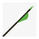 32-Inch Hunter Xt Arrow Shaft With 2-Inch Rapt-X Vane, 300 Spine, Black, Per Each