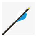 30-Inch Kinetic Kaos Arrow Shaft With 2-Inch Rapt-X Vane, 300 Spine, Black, Per Each