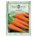 Danver Half Long Carrot Vegetable Seed     