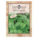 Sweet Basil Herb