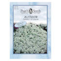 White Spring To Fall Bloom Alyssum Carpet Of Snow Flower Seed     