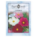 Early Sensation Mixed Colors Cosmos Flower Seed